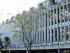 建筑外遮陽